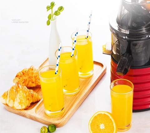 Máy ép chậm Miushita MS-2133