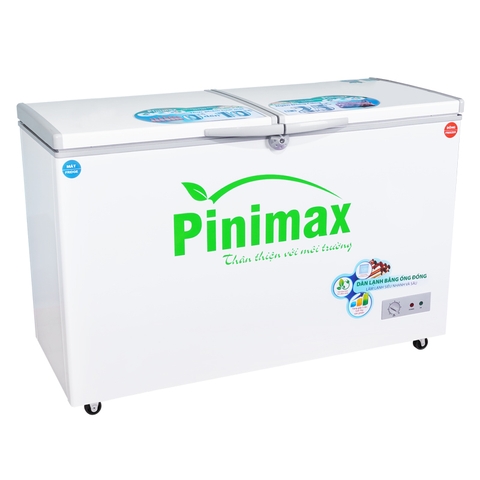 Tủ đông Pinimax PNM59WF