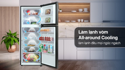 Tủ lạnh Samsung Inverter 302 Lít RT29K503JB1/SV