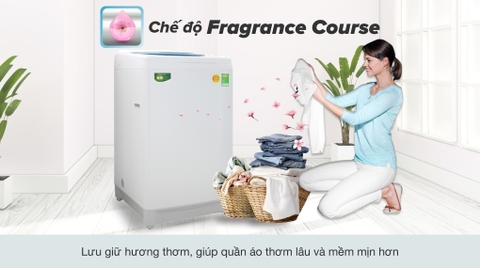 Máy giặt Toshiba 8.2 kg AW-F920LV WB