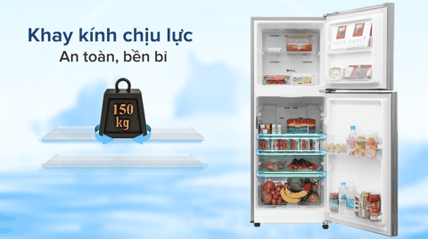 Tủ lạnh Samsung Inverter 208 lít RT19M300BGS/SV