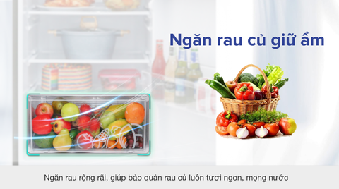 Tủ lạnh Sharp Inverter 253 lít SJ-X281E-DS