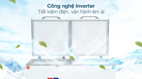 Tủ đông Sanaky Inverter 365 Lít VH-5699W3