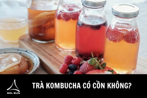 Trà kombucha có cồn không?