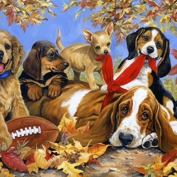 Cách để ghép tranh nhanh hơn