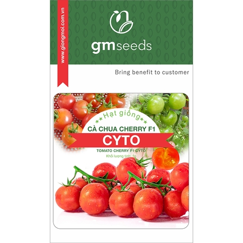 Cà chua Cherry F1 Cyto