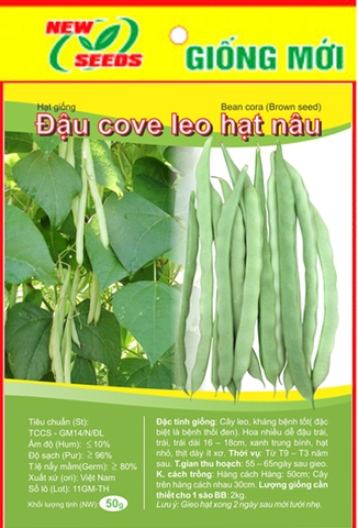 Đậu cove leo hạt nâu quả dẹt