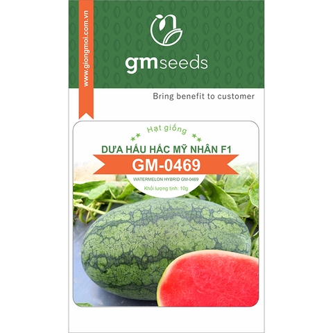 Dưa hấu Hắc mỹ nhân F1 GM-0469