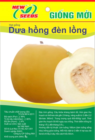 Dưa hồng đèn lồng