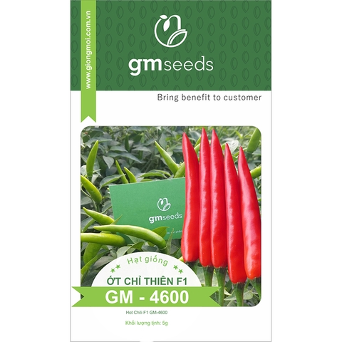 ỚT CHỈ THIÊN F1 GM-4600