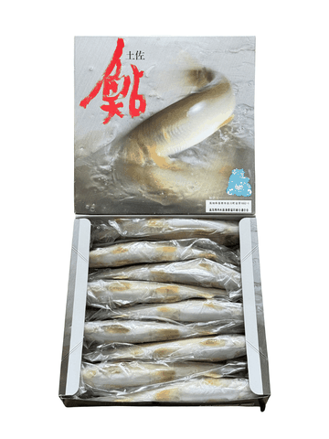 Cá Ayu Nhật Bản Đông Lạnh 1KG (Size 9 Con, Không Trứng)