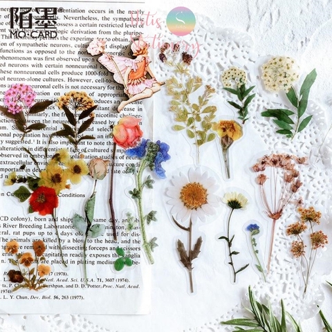 [HOTIS] Set 40 sticker thực vật hoa lá trang trí sổ tay/ nhật ký/ sketchbook