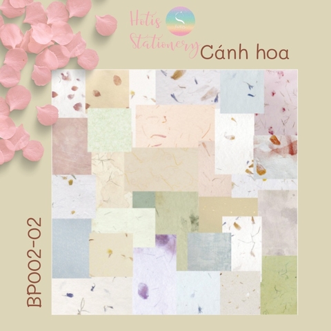[HOTIS] Set giấy nền vintage, giấy note floral hoa nhí/ màu trơn/ bưu thiếp - 60 tờ