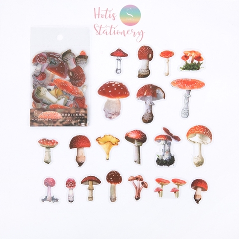[HOTIS] Set 40 sticker thực vật hoa lá trang trí sổ tay/ nhật ký/ sketchbook