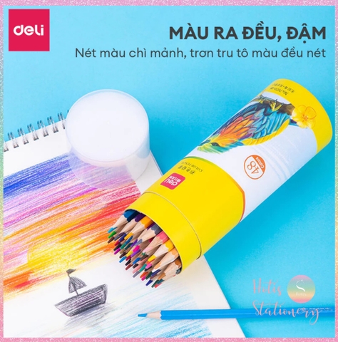[HOTIS] Bộ 12/24/36/48 Bút chì màu gốc dầu dạng cốc DELI màu sắc tươi sáng, không dễ gãy, màu chì học sinh chuyên nghiệp