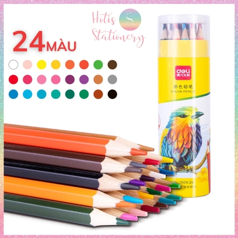 [HOTIS] Bộ 12/24/36/48 Bút chì màu gốc dầu dạng cốc DELI màu sắc tươi sáng, không dễ gãy, màu chì học sinh chuyên nghiệp