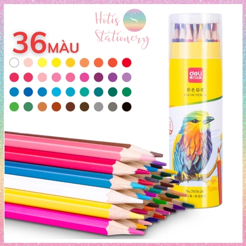 [HOTIS] Bộ 12/24/36/48 Bút chì màu gốc dầu dạng cốc DELI màu sắc tươi sáng, không dễ gãy, màu chì học sinh chuyên nghiệp