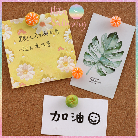 [HOTIS] Đinh ghim bảng gỗ bần hình trái tắc - 4 mẫu siêu dễ thương