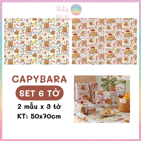 [HOTIS] Set 6 tờ Giấy gói quà tặng Sinh Nhật, giấy bao tập vở, giấy gói quà cao cấp, khổ lớn - KT 50x70cm