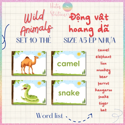 [HOTIS] Set 10 Flashcard A5 học từ vựng Tiếng Anh tiểu học theo chủ đề, thẻ học từ vựng cho bé