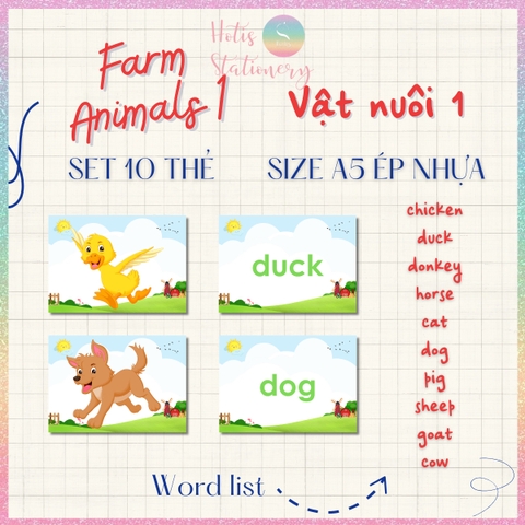 [HOTIS] Set 10 Flashcard A5 học từ vựng Tiếng Anh tiểu học theo chủ đề, thẻ học từ vựng cho bé