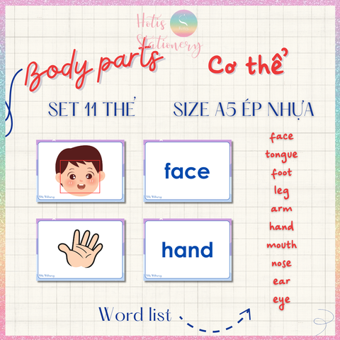 [HOTIS] Set 10 Flashcard A5 học từ vựng Tiếng Anh tiểu học theo chủ đề, thẻ học từ vựng cho bé