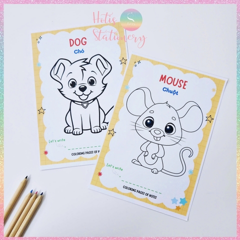 [HOTIS] Bộ 20 thẻ A5 học từ vựng Tiếng Anh kèm tranh tô màu cho bé từ 3 -  6 tuổi giúp ghi nhớ từ qua hình ảnh