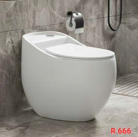 R 666 Bồn cầu trứng cao cấp