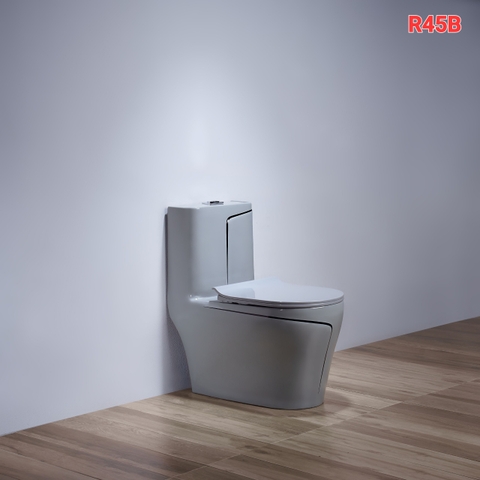 R 045B Bồn cầu liền khối xám