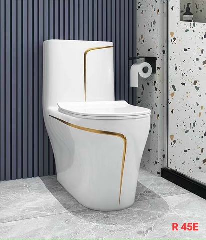 R45E Bồn cầu trắng viền vàng
