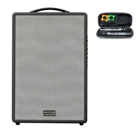 Loa Acnos AUCUS X300