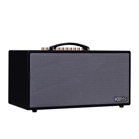 Loa Acnos CS450 Alpha