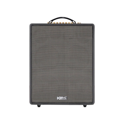 Loa Acnos CS552 Plus