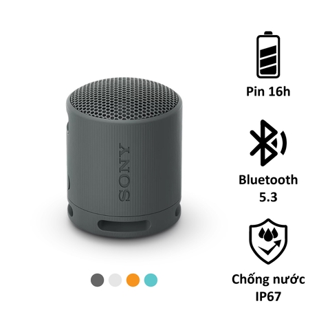 Loa Bluetooth di động Sony SRS-XB100, pin 16h, chống nước IP67