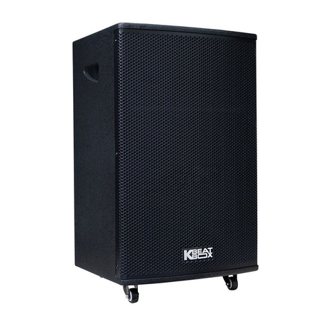 Loa karaoke di động Acnos Aucus AK800