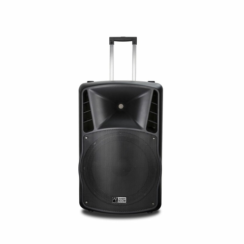 Loa AudioFrog Pro P15