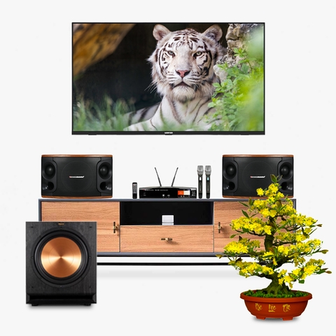 Dàn karaoke LA015 (Boston Acoustics Modern MD510 + Klipsch R-120SW + Boston Acoustics BA400)