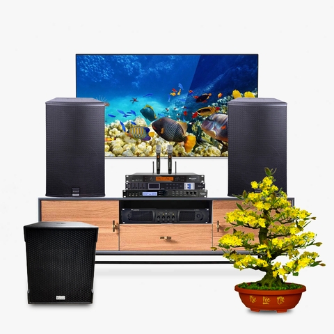 Dàn karaoke LA021 (MK EU-12 + MK SS 118 + MK LX 9004 + MK-8900 Max + MK S-800 Plus + MK P8 Pro)