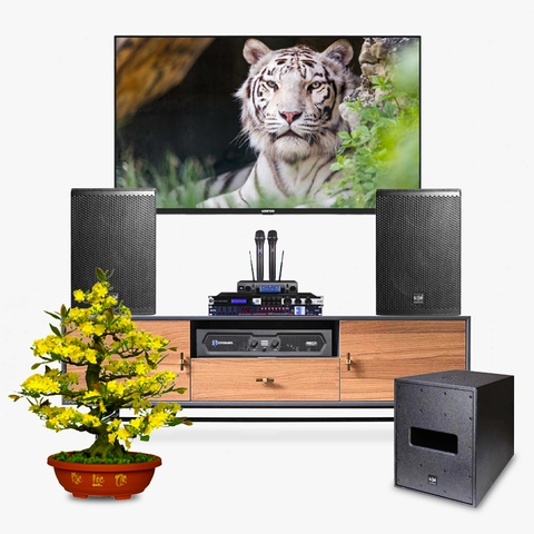 Dàn karaoke LA025 (SE Audiotechnik COX 8 + SE M-F3 SUB + Crown KVS300 + JBL KX180A + JBL VM300 + Kiwi S803)