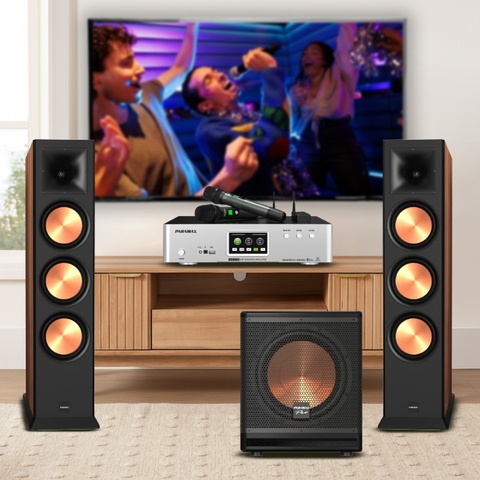 Dàn karaoke LAVIP1 (Loa Paramax Euro 803 Limited + amply Euro A700 + Sub-A30)