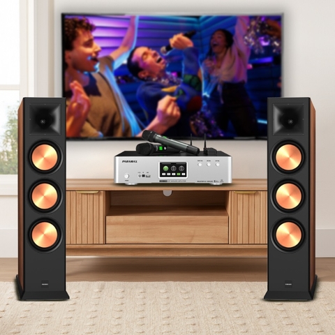 Dàn Karaoke LAVIP2 (loa Paramax Euro 803 Limited + amply Euro A700)