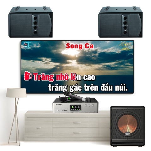 Dàn karaoke cao cấp WP01 (1 Wharfedale Pro 5090 + 1 Paramax SUB-A30 + 1 Paramax Z-A450)