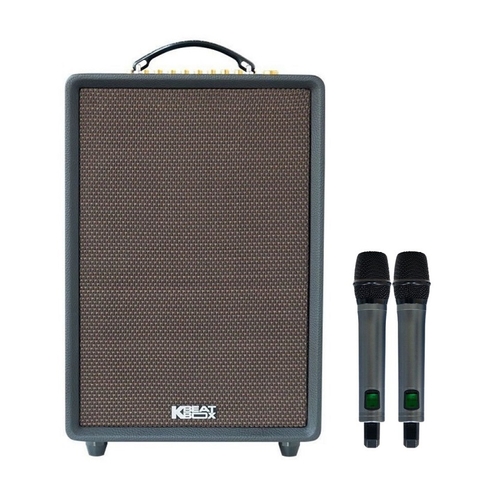 Loa Acnos High Fidelity Pro