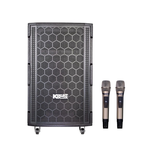 Loa karaoke di động Acnos 15S5