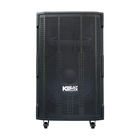 Loa karaoke di động Acnos 15S1