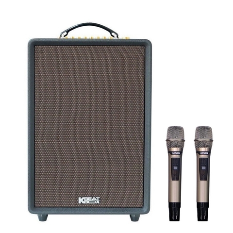 Loa karaoke di động Acnos High Fidelity