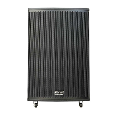 Loa Acnos AUCUS AK1000