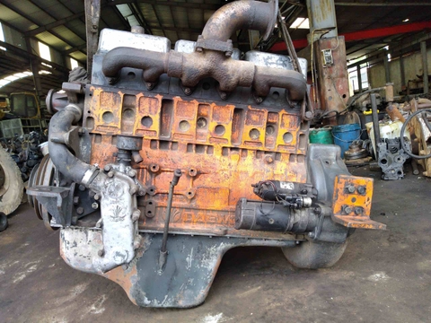 ĐỘNG CƠ D1146-100034