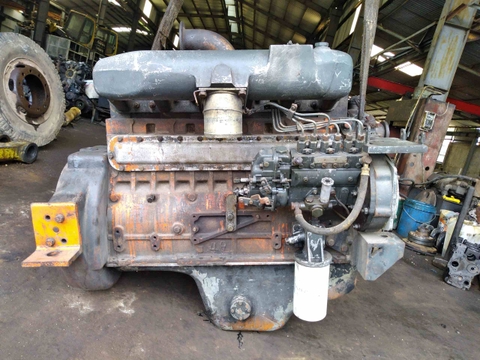 ĐỘNG CƠ D1146-100034