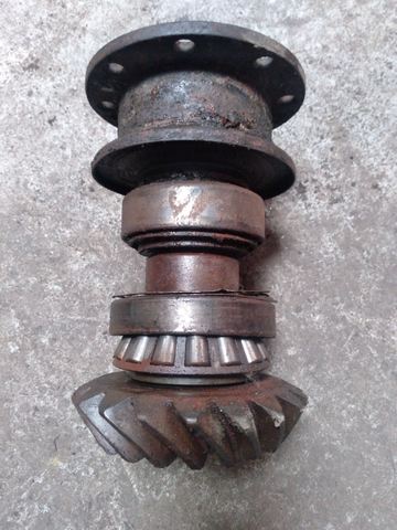 Quả Dứa 19 Răng / 12 Then